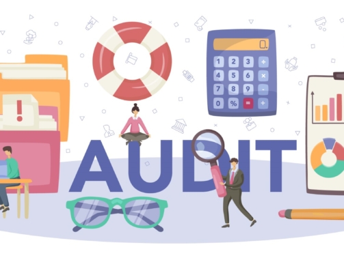 25968163_auditor_text_2
